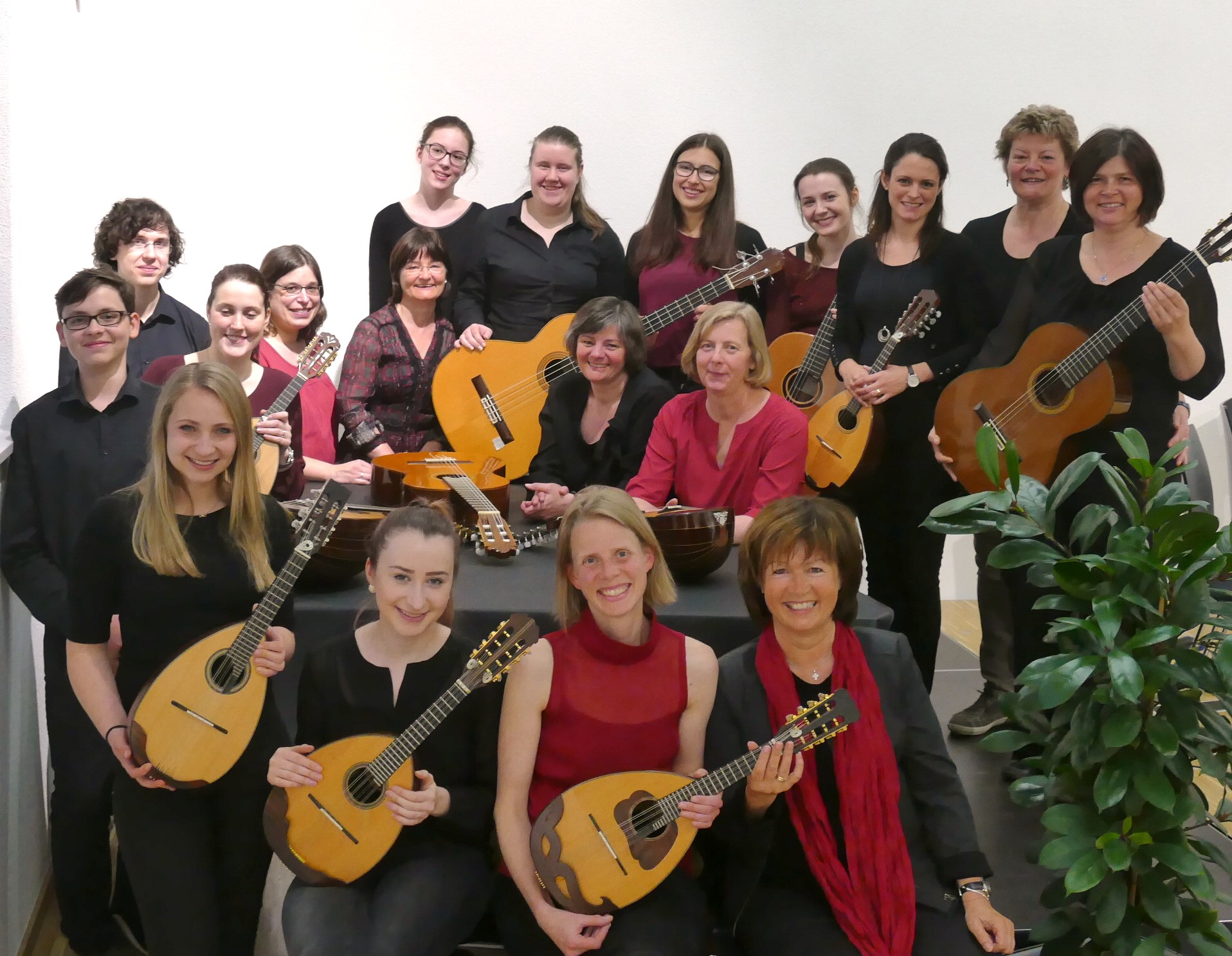 Zupf-Ensemble Lohr 2017